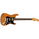 FENDER - American Professional II Stratocaster®, Touche palissandre - Roasted Pine