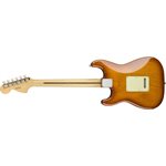 FENDER - STRATOCASTER AMERICAN PERFORMER - Honey Burst