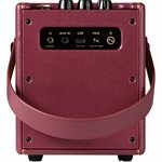 POSITIVE GRID - Spark MINI Vai - Ampli guitare intelligent portable 10 watts édition spéciale et câble personnalisé