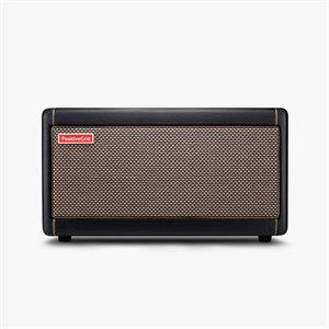 POSITIVE GRID - SPARK - Ampli de guitare intelligent 40 watts et haut-parleur Bluetooth® - Noir