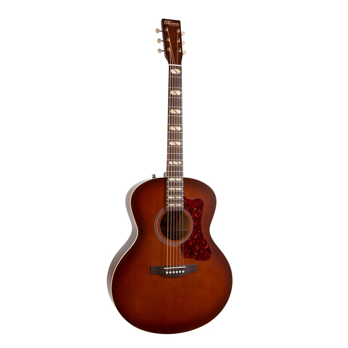 NORMAN - ST30 MJ ELEMENT - HAVANA BURST