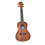 TWISTED WOOD - AR-800C - CONCERT UKULELE