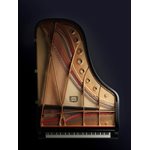 YAMAHA - S7X - Grand Piano SX Series - Polished Ebony