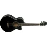 WASHBURN - FESTIVAL EA10 - Noir