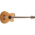 TAKAMINE - GB72CE - NATUREL