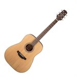 TAKAMINE - GD20-NS