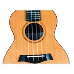 TWISTED WOOD - SE-900T - Ukulélé ténor Sierra Solid Top