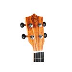 TWISTED WOOD - SE-900T - Sierra Solid Top Tenor Ukulele