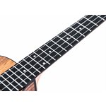 TWISTED WOOD - SW-700C - Switchback Ukulele Concert