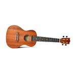 TWISTED WOOD - SOPRANO UKULELE TYRO