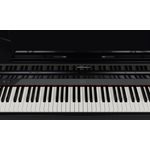 ROLAND - GP-6 - Digital Baby Grand Piano - Polished Ebony