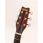 WASHBURN - Hawk H10TS — Tobacco Sunburst