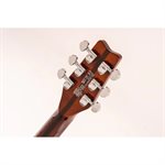 WASHBURN - Hawk H10TS — Tobacco Sunburst