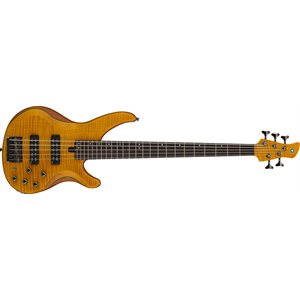 YAMAHA - TRBX605FM MAM - 600 Series - Guitare basse 5 cordes - Matte Amber