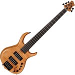 SIRE - M7 - SWAMP ASH - 2nd GEN - 5 strings - FLAME MAPLE