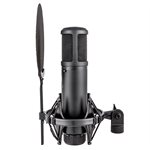 SE ELECTRONICS - se-se2200 - microphone condensateur à large diaphragme - avec shock mount / pop filter