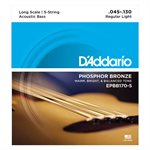 D'ADDARIO - EPBB170-5 - Coated Acoustic Bass Strings - Long Scale - 5-String - 45-130